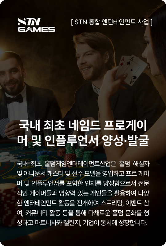 STN 통합 엔턴테인먼트 사업